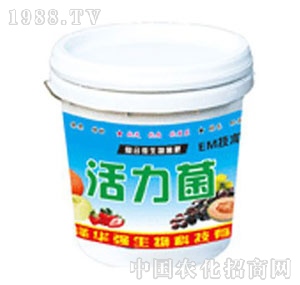 ���A��(qi��ng)-������