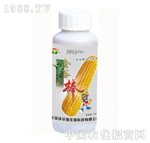 ���A��-��Ȱ�