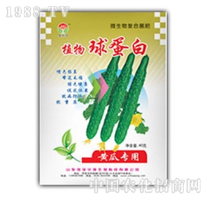 ���A��-�򵰰�