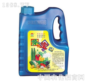 ���A��-�ˌ�