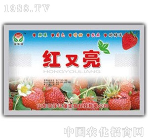 ���A��-��ݮ�t����