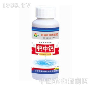 ���A��(qi��ng)-�}���}