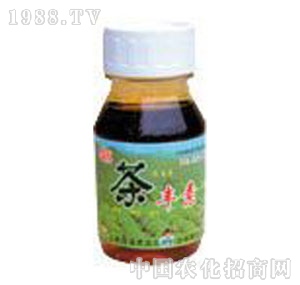 ���A��(qi��ng)-���S��