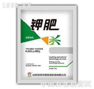 ���A��(qi��ng)-⛷�