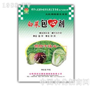 ���A��(qi��ng)-�ײ˰��Ą�