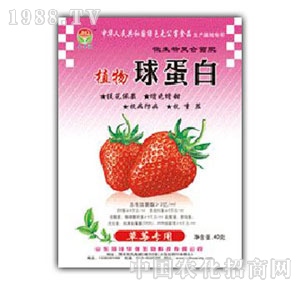 ���A��(qi��ng)-ֲ���򵰰ײ�ݮ����