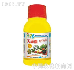 ���A��(qi��ng)-���S��