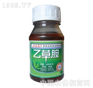 �����r(n��ng)��-�Ҳݰ�