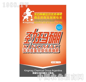 �����r�I(y��)-�Ŭ���