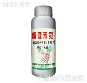 �S��(l��)-8.8%��୺��`