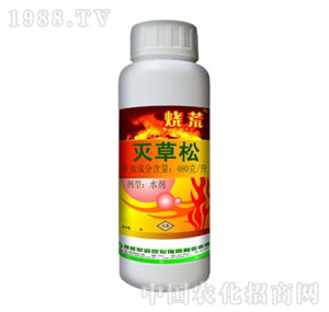 �S��(l��)-�����