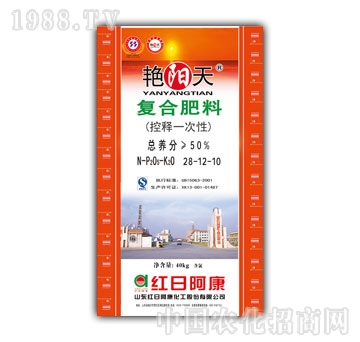 �G���-50%��(f��)�Ϸ���