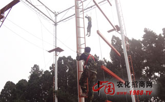 �𱬾W(w��ng)�j(lu��)��չӖ(x��n)��֮�߿Ք���